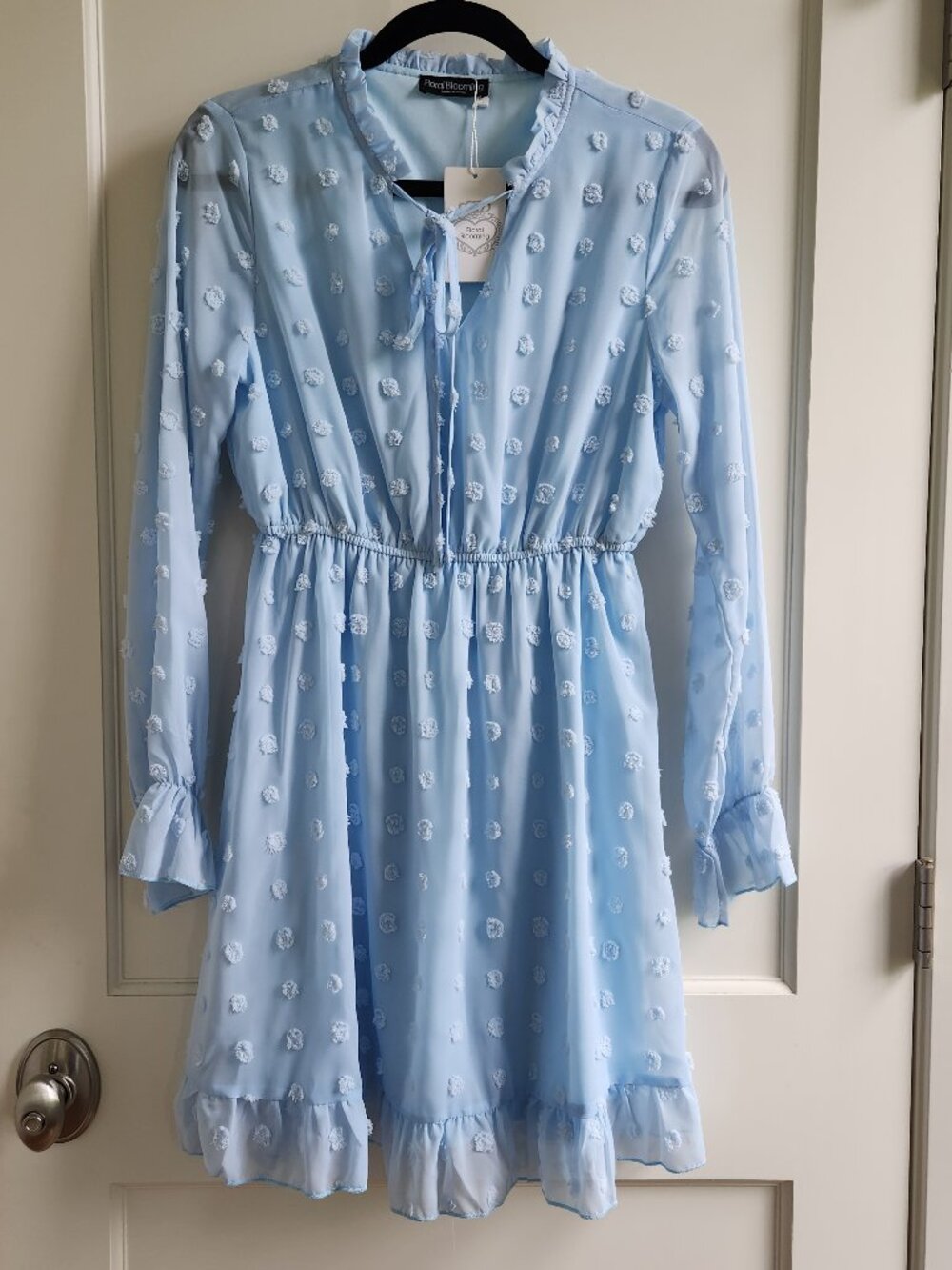 Floral Blooming Swiss Dot Dress Size Large Blue Ruffle Long Sleeve NWT Spring